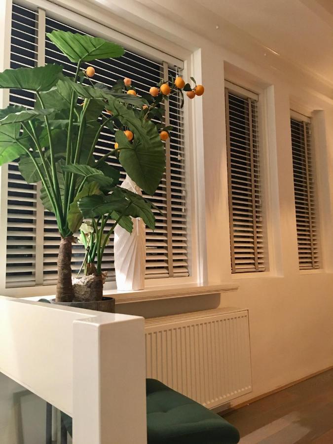 Vakantiehuis De Zeeparel Zandvoort Buitenkant foto